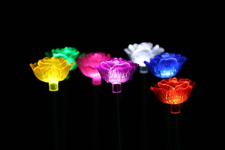LED燈